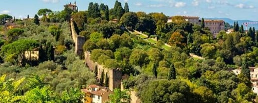 Pitti Palace & Palatine Gallery, Boboli & Bardini Gardens