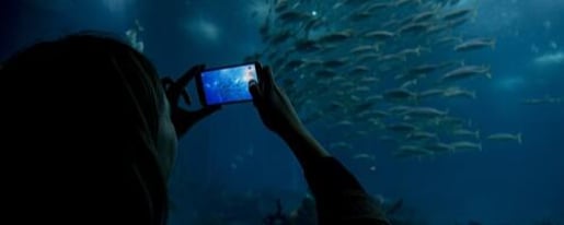 Oceanário de Lisboa