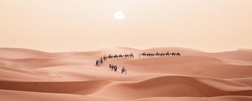 Sunset Desert Safari with Quad Bike, Camel Ride, Dinner Show