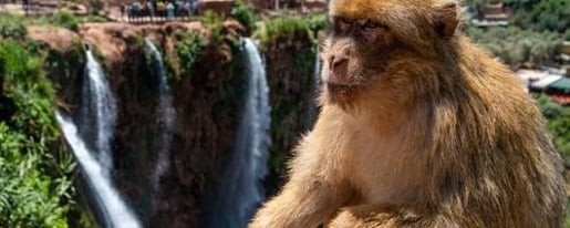 Full-Day Ouzoud Waterfalls Guided Hike with Boat Ride