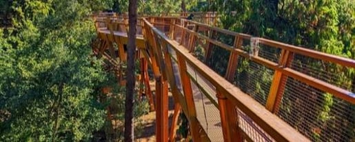 Serralves Foundation