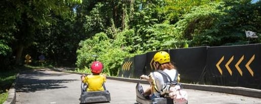 Skyline Luge & Skyride Singapore