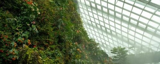 Gardens by the Bay: Jurassic World Experience + Flower Dome + Supertree Observatory