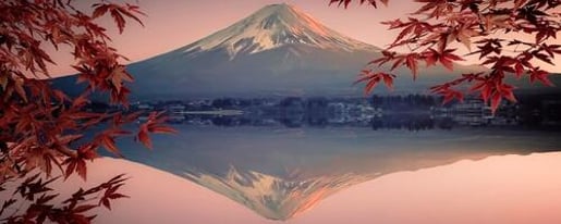 Mount Fuji Highlights Tour: Chureito Pagoda, Lake Kawaguchi, Oshino Hakkai