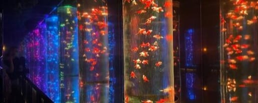 Sumida Aquarium