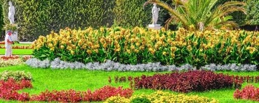 Schönbrunn Palace & Gardens Guided Tour