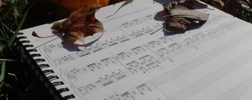 Chopin's Music Recital at the Pleyel Salon