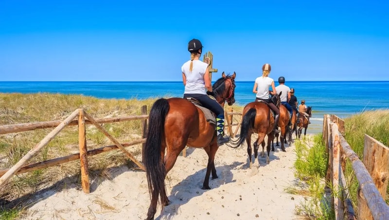 2-Hour Horseback Riding City Pass