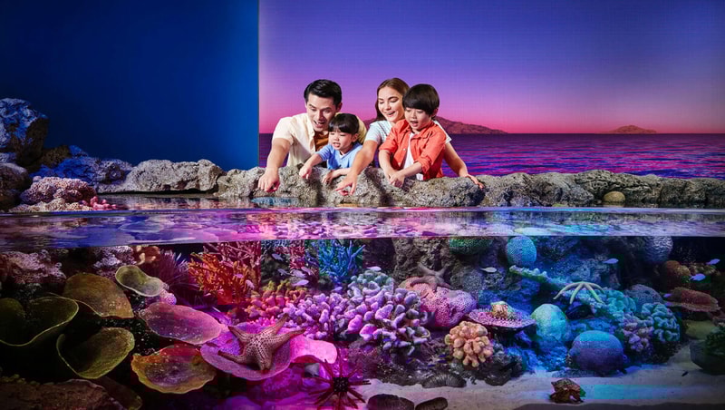 SEA LIFE Bangkok Ticket City Pass