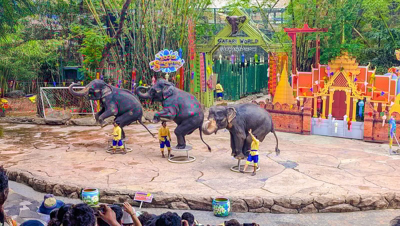 Safari World Bangkok Ticket City Pass