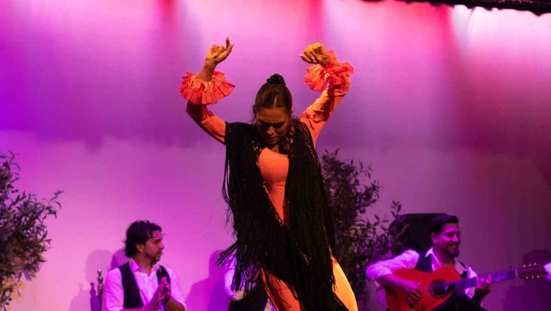 Flamenco Show City Pass