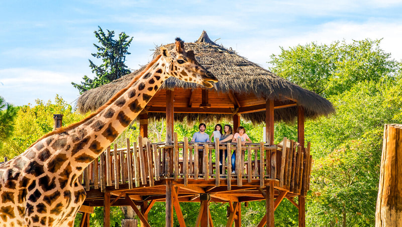 Madrid Zoo Aquarium Ticket City Pass