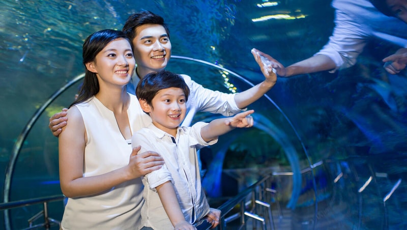 Sea Life Coex Aquarium Ticket City Pass