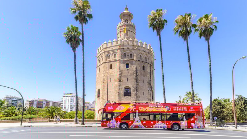 24-Hour Hop-On Hop-Off Bus with 2 Guided Walking Tours City Pass