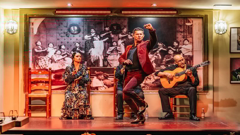 Flamenco Show City Pass