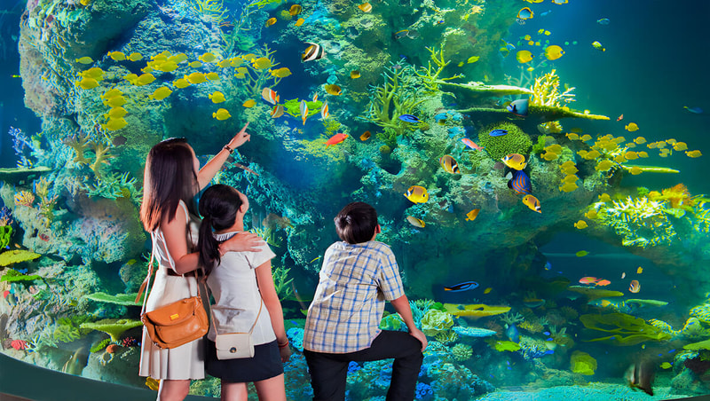 Singapore Oceanarium Ticket City Pass