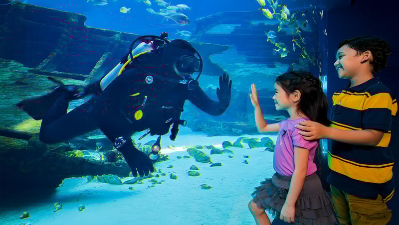 Singapore Oceanarium Ticket City Pass