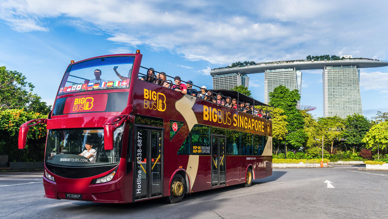1-Day Hop-On Hop-Off Bus City Pass