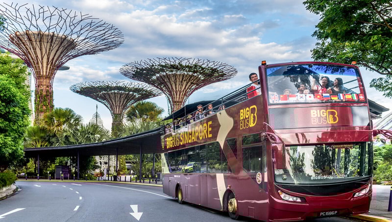 1-Day Hop-On Hop-Off Bus City Pass