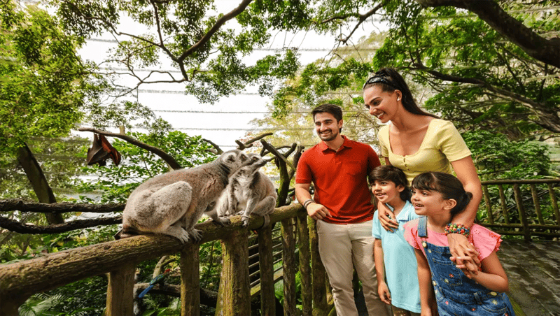 Singapore Zoo Ticket City Pass