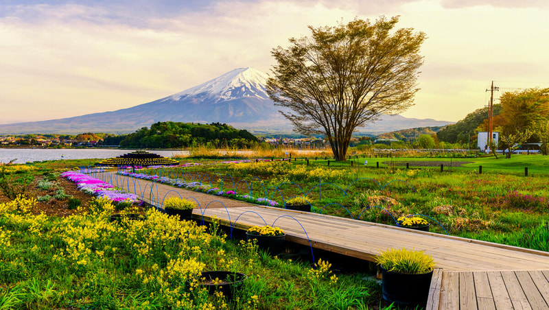 Mount Fuji Highlights Tour City Pass