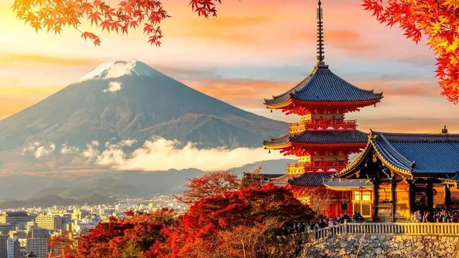 Why Tokyo Is the Ultimate City to Visit in 2025