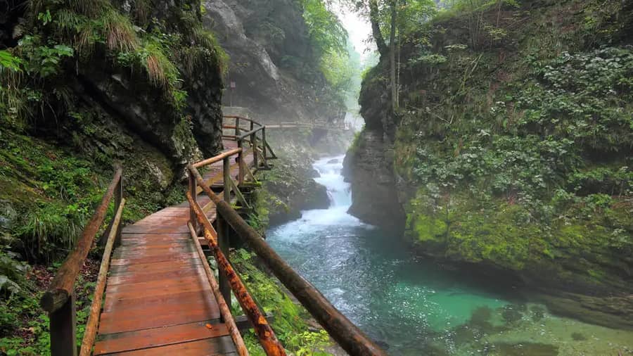 Vintgar Gorge