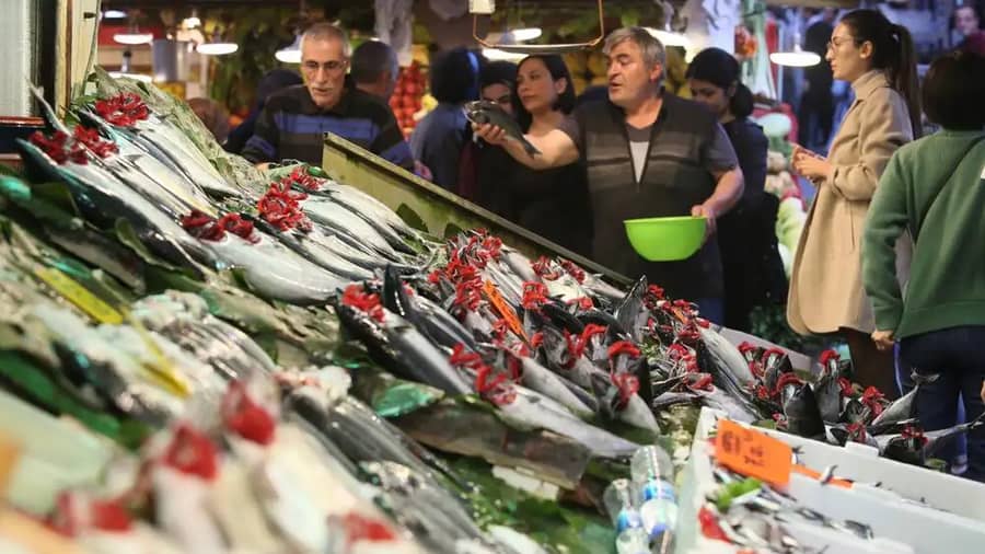 Istanbul Fish Market