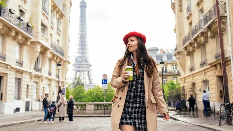 Paris Scenic Seine River Cruise