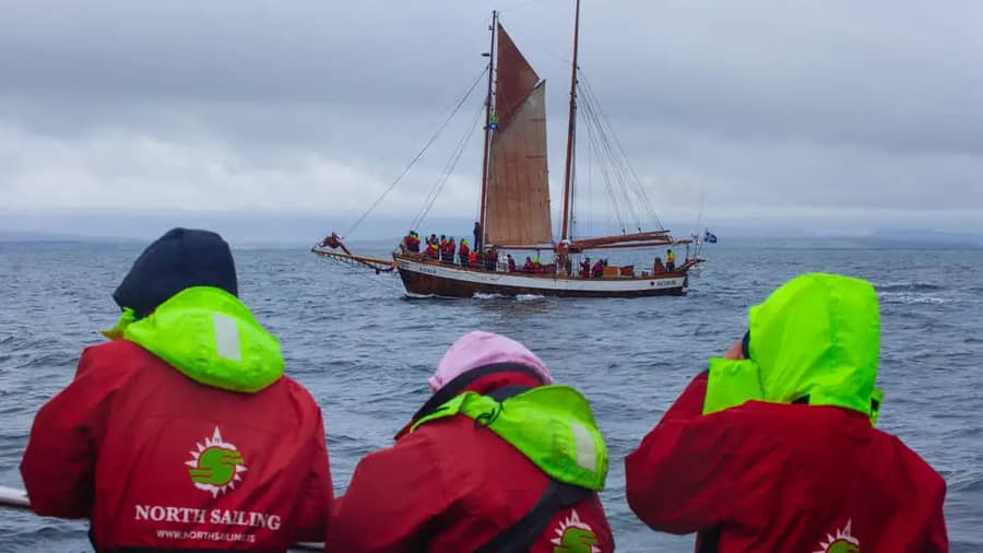 Whale Watching Reykjavik3