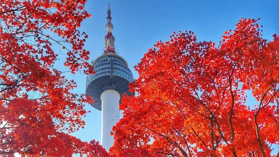 Shutterstock 2615323091