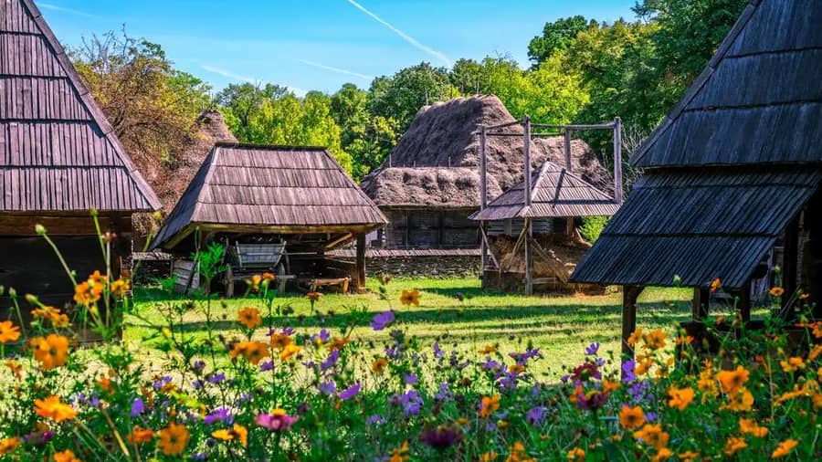 Shutterstock 2299579149