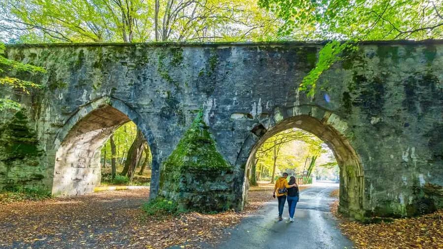 Istanbul Belgrad Forest