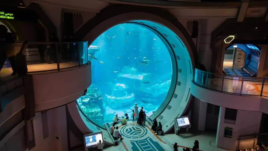 Shutterstock 2465652877