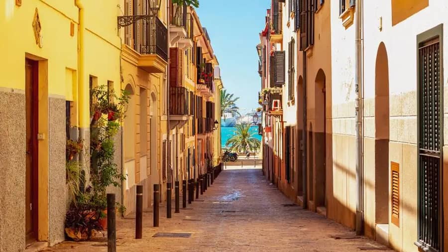 Shutterstock 2160330877 1