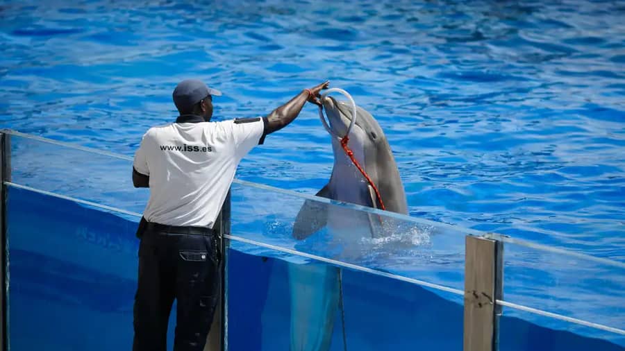 Shutterstock 250600837