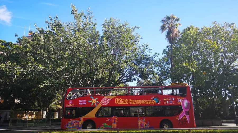 Shutterstock 1382239295