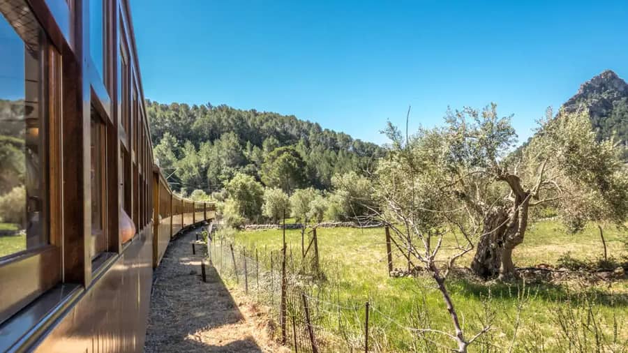 Shutterstock 1133931899