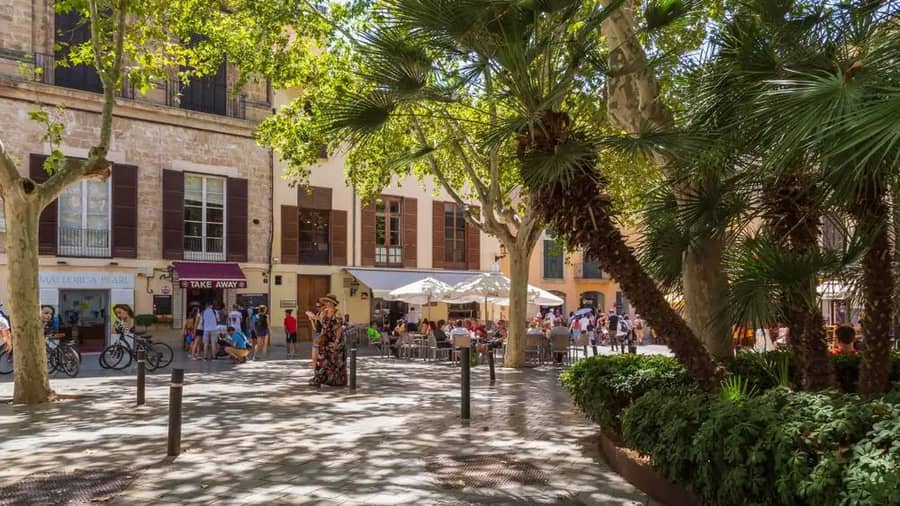 Shutterstock 2355667425