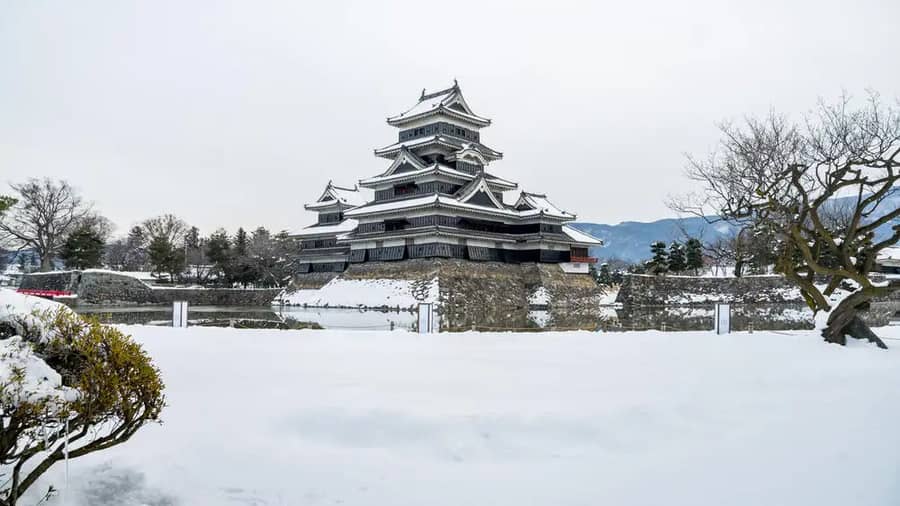 Shutterstock 602990387