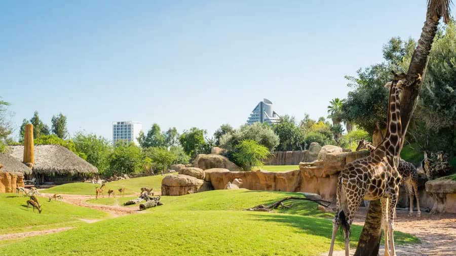 Bioparc Valencia