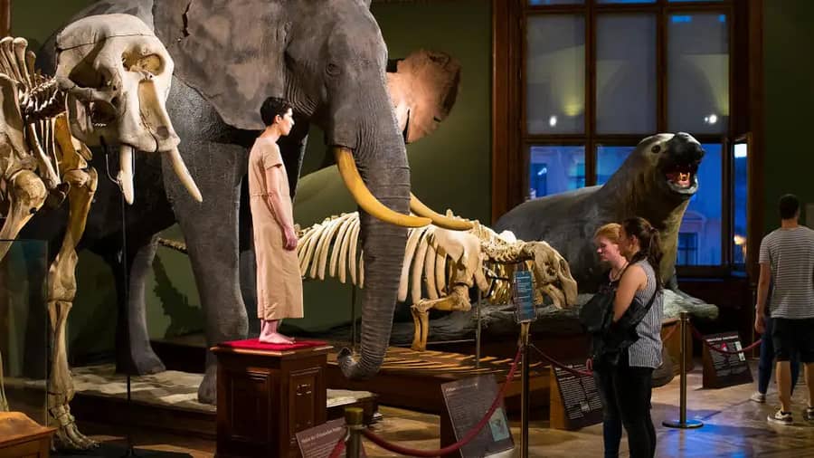 Vienna Natural History Museum