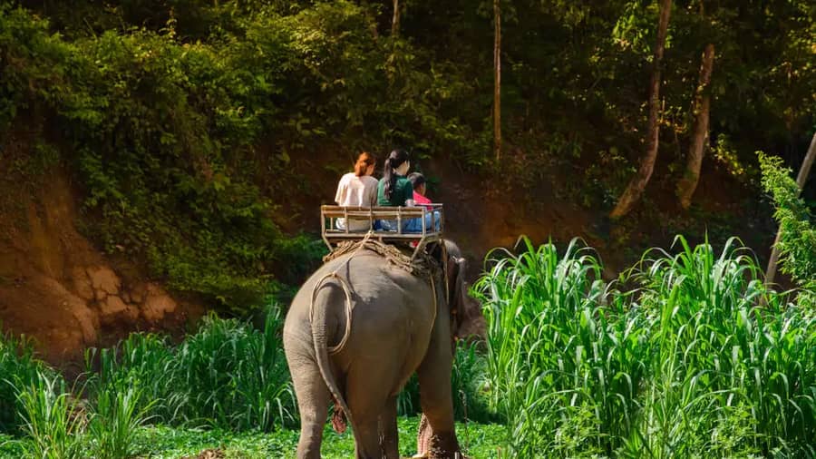 Shutterstock 1257146524