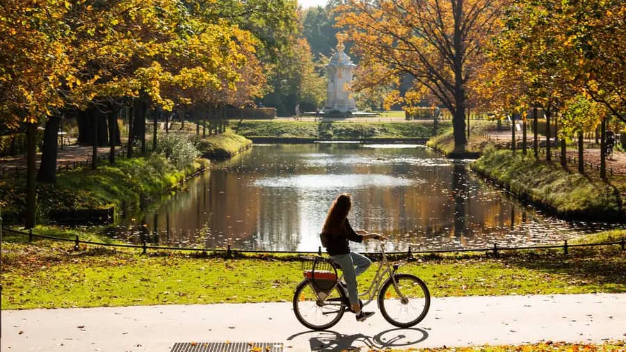 Berlin Central Park Tiergarten