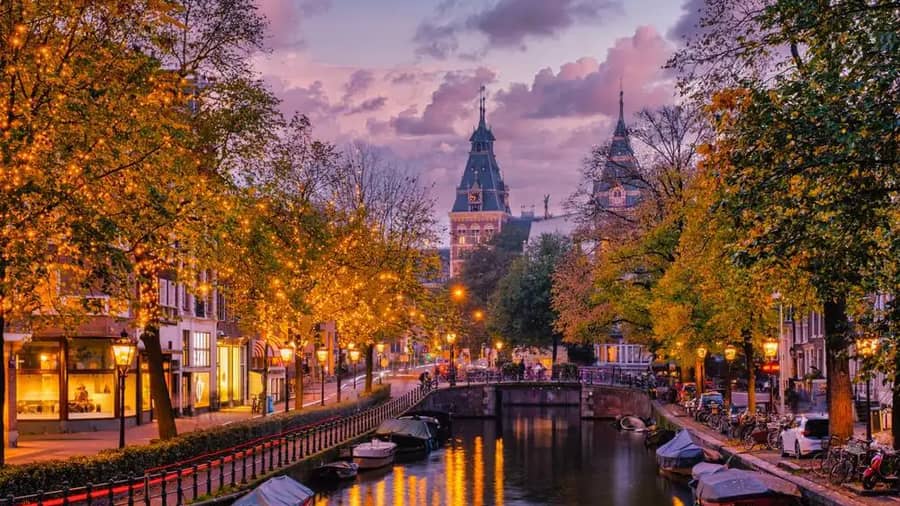 Shutterstock 2556600709