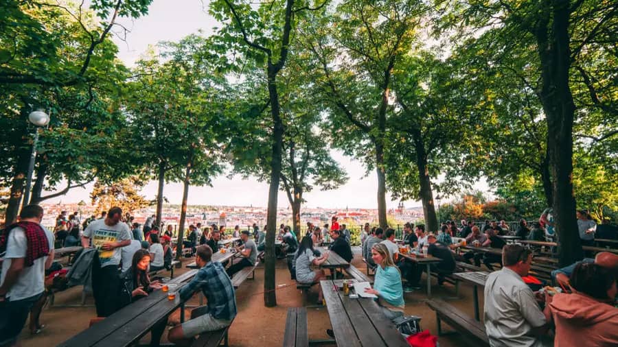 Shutterstock 1295361436