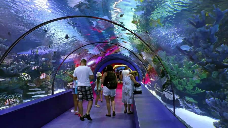 Aquarium Antalya City Center