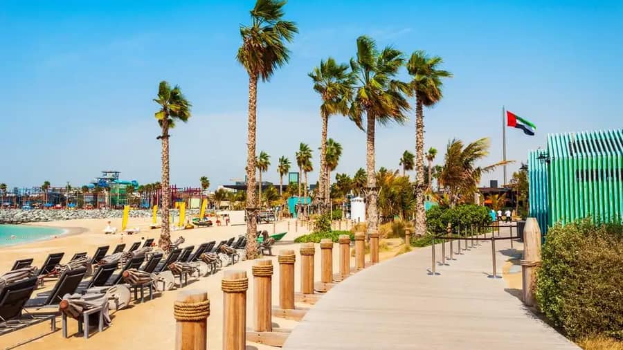 Shutterstock 2045525312