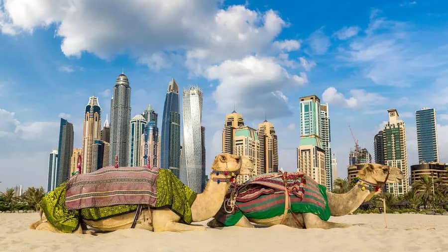 Shutterstock 1752210884