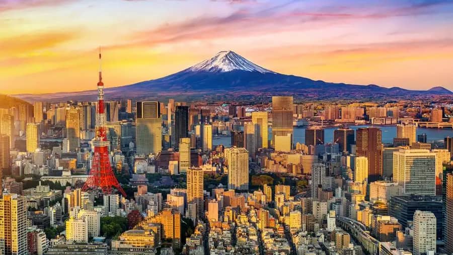 Shutterstock 2479993441